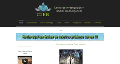 Desktop Screenshot of cieb.cl