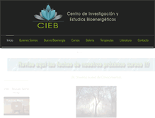 Tablet Screenshot of cieb.cl